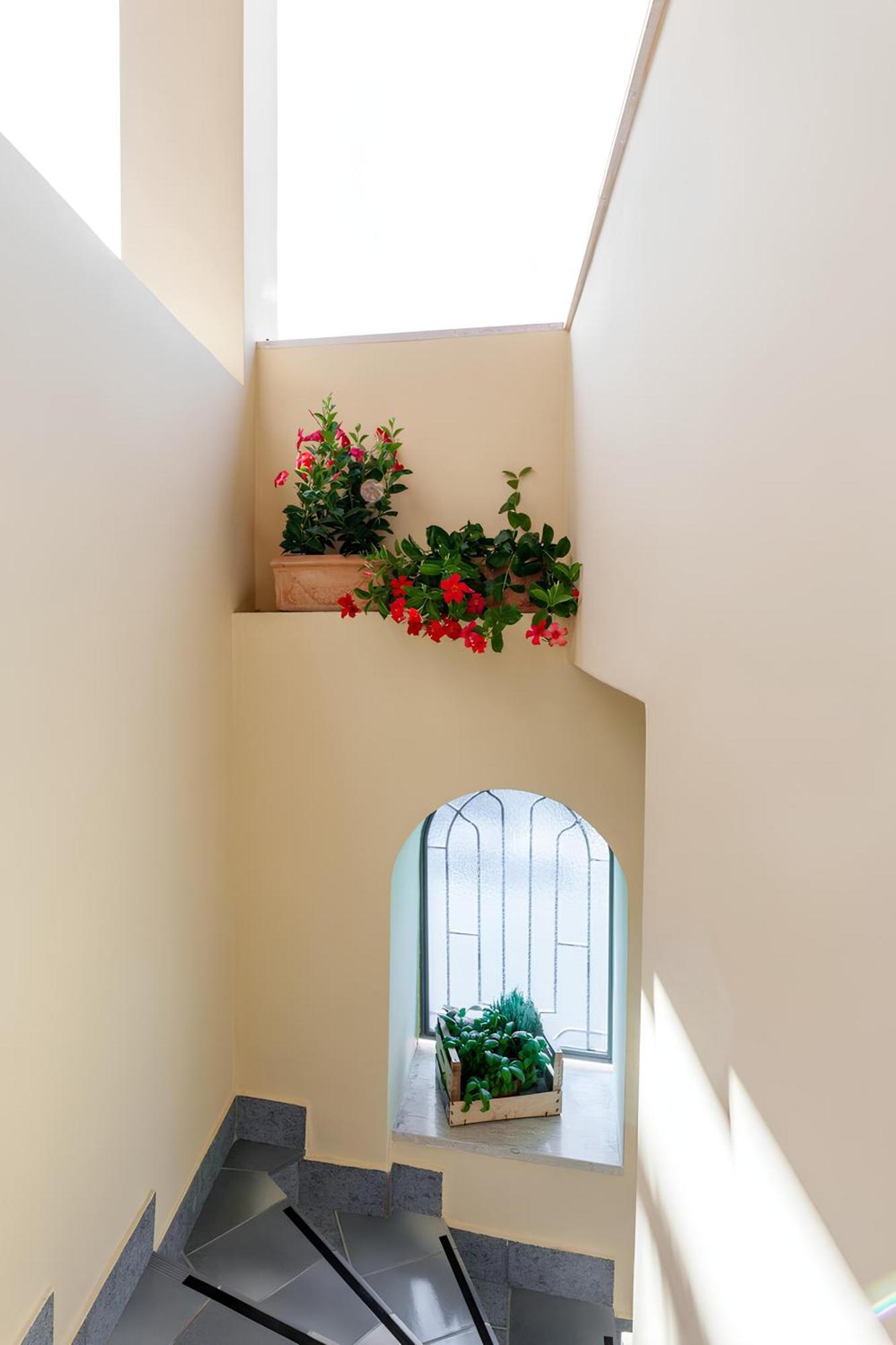 Apartmán Casa Caterina Lacco Ameno  Exteriér fotografie
